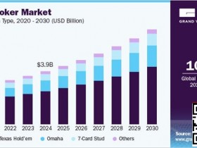 【EV扑克】未来五年线上扑克市场报告:千亿赛道已然成型【球盟会】
