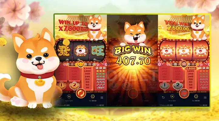 【球盟会】旺旺旺老虎机——大发娱乐上的喜庆娱乐人气之选