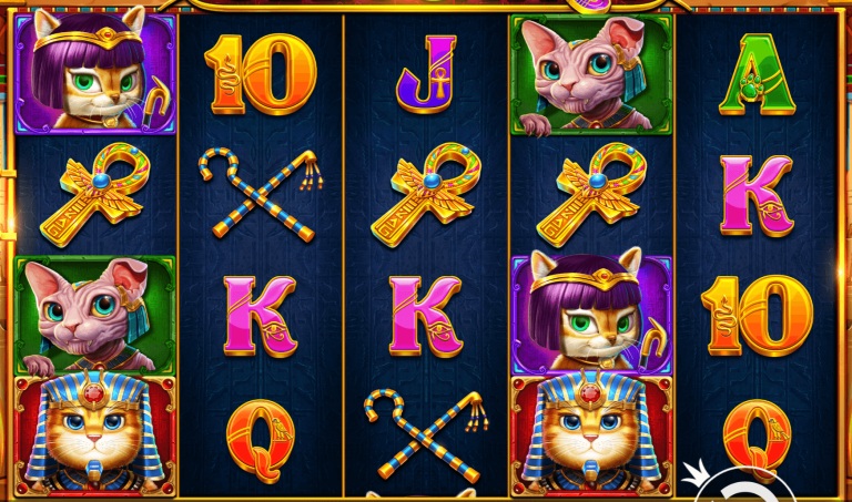 【球盟会】埃及神猫：探寻古埃及的未解之谜